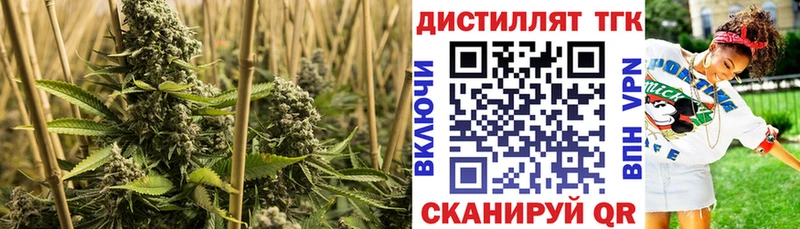наркота  Курильск  ТГК вейп с тгк 