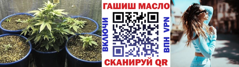 ТГК концентрат Курильск