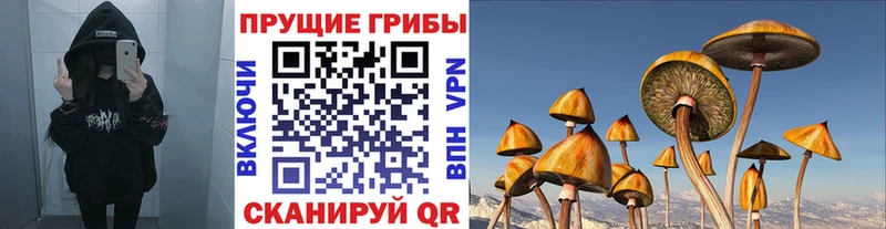 Псилоцибиновые грибы Cubensis  купить  цена  KRAKEN ссылка  Курильск 